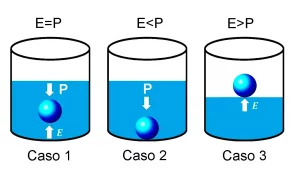 Lee más sobre el artículo Principio de Arquímedes