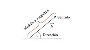 Lee más sobre el artículo Suma de vectores método analítico